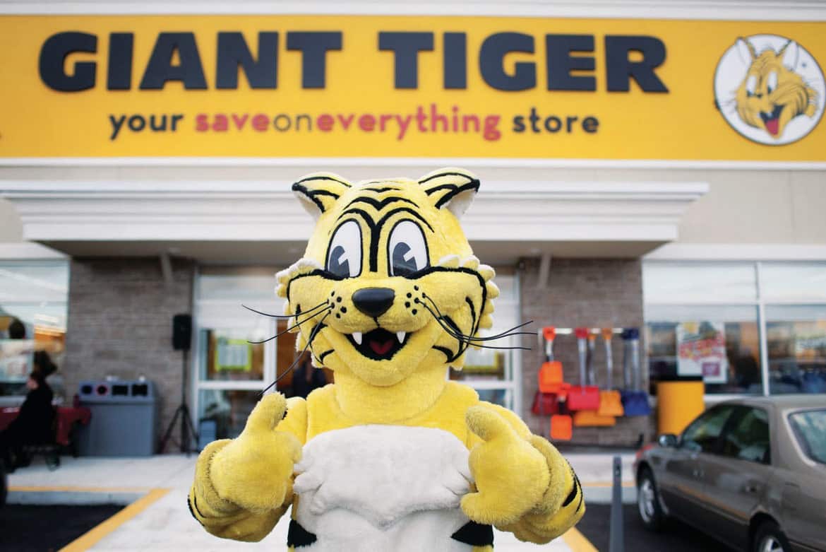 giant tiger newmarket plaza